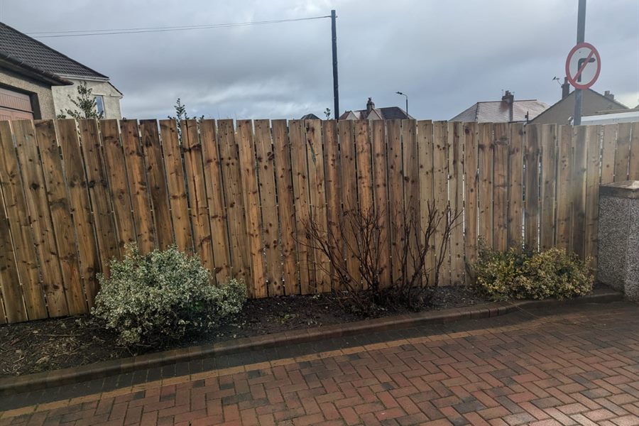 New fence with shrubs along a monoblock drive