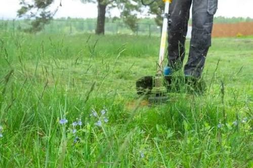 A strimmer cutting through long grass and weeds