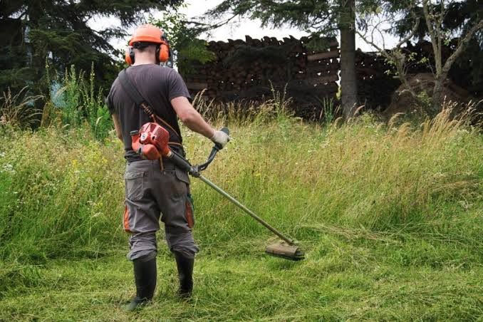 Long grass being cut down with a brushcutter, cut swathe behind