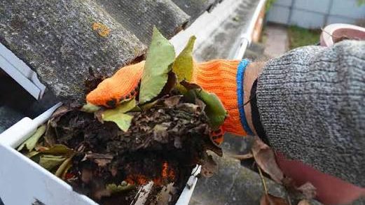 A gloved hand lifting a handful of wet leaves and silt out of a gutter