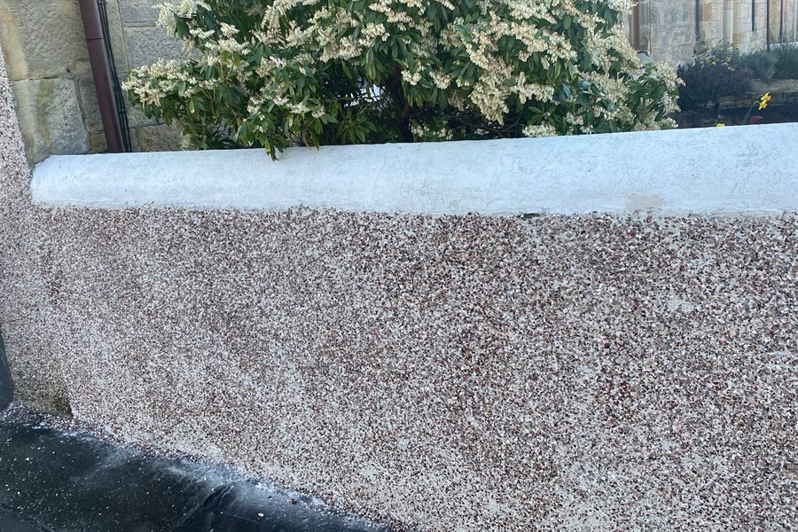 Long pebbledash front wall with a painted cope, shrubs behind
